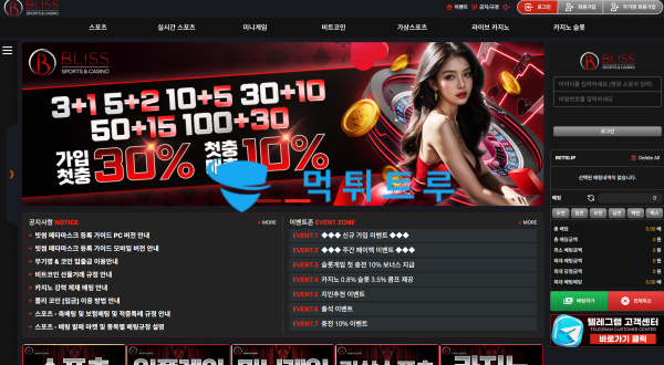 블리스 먹튀 증거 2