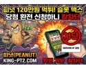 피넛(PEANUT) 먹튀 확정 및 피해 사례
