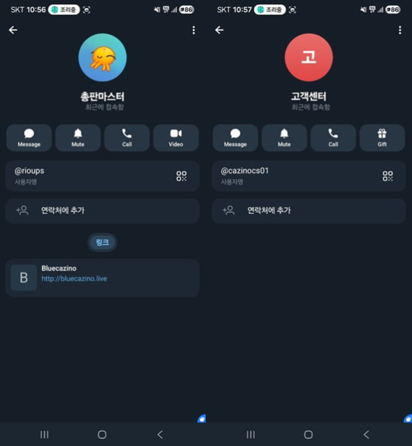 블루카지노 먹튀 증거 내역 3