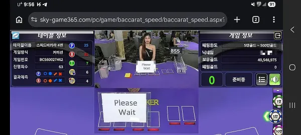 스카이파크(SKYPARK) 먹튀 증거 내역 2