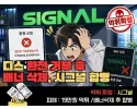 시그널 먹튀 확정