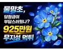 물망초 먹튀 사이트 메인 이미지