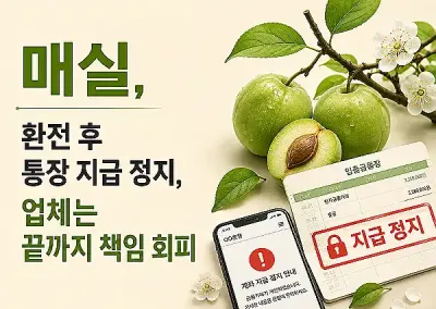 매실(MAESIL)먹튀전문집단, 환전 후 통장 지급 정지, 업체는 끝까지 책임 회피