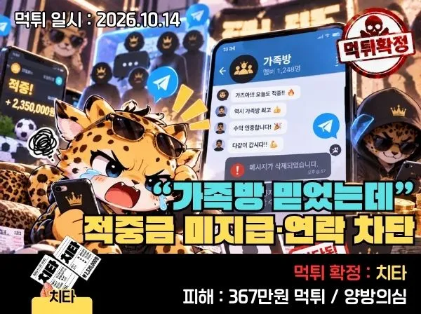 치타 먹튀 메인 이미지
