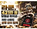라쿤 먹튀 확정 및 피해 사례